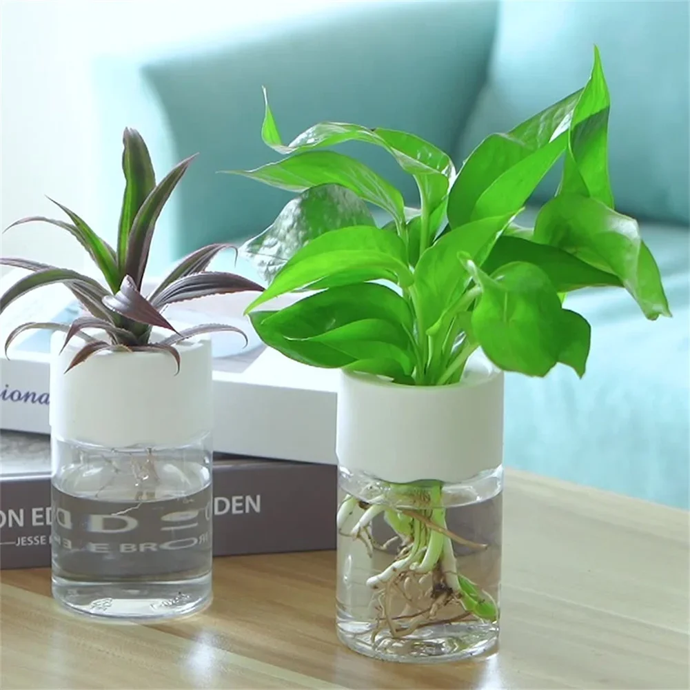 Plant Desk Mini - وعاء زهور مائي صغير شفاف للزراعة