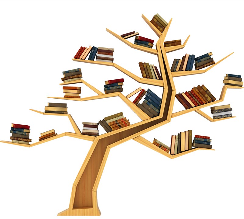 Chiquitos غرفة المعيشة غرفة نو - مراجعة Bookcase Wood Shelf وسعره