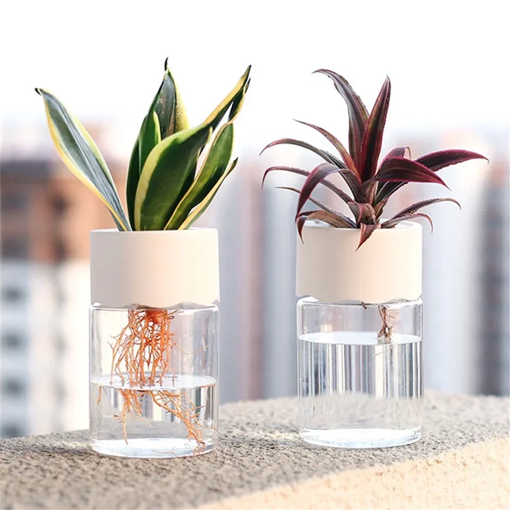 وعاء زهور مائي صغير شفاف للزرا - مراجعة Plant Desk Mini وسعره