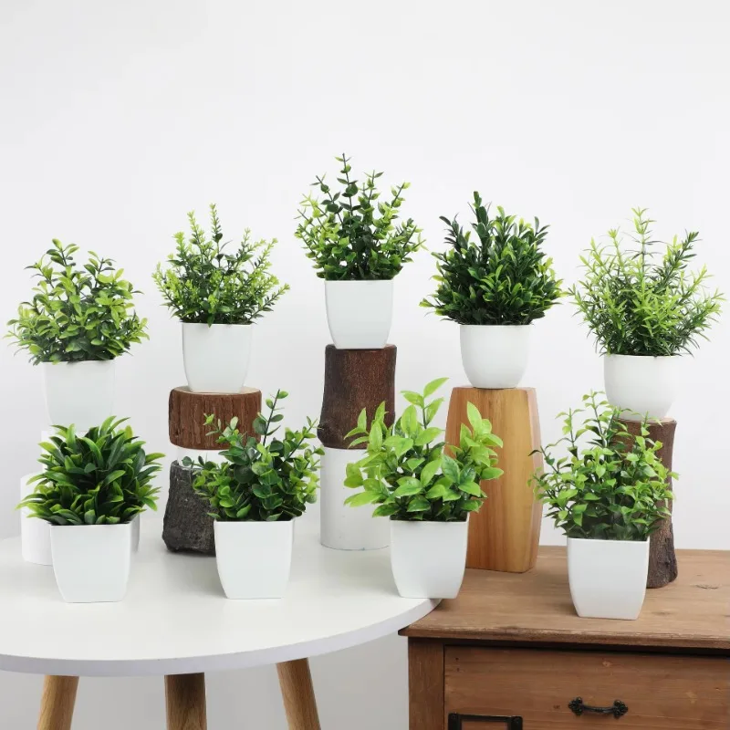 الجملة OEM/ODM نباتات اصطناعية - مراجعة Plant Desk Mini وسعره