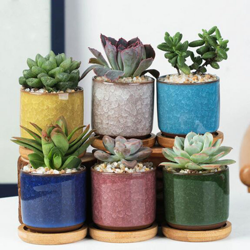 6 قطعة/المجموعة السيراميك الزه - مراجعة Plant Desk Mini وسعره