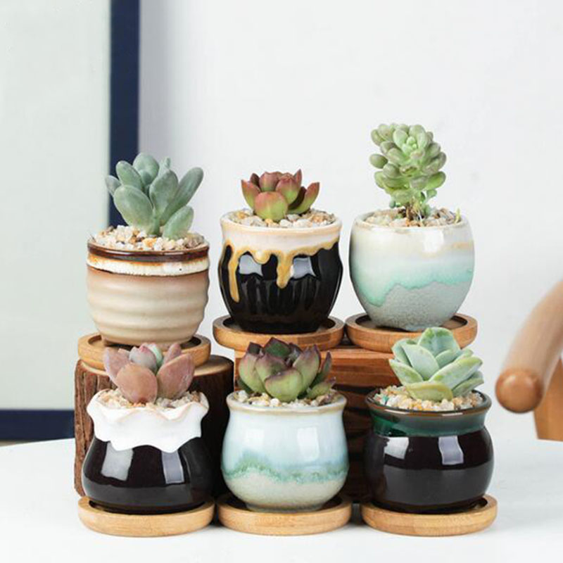 6 قطعة/المجموعة السيراميك الزه - مراجعة Plant Desk Mini وسعره